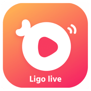 Ligo Coin Recharge BD by bKash in Bangladesh